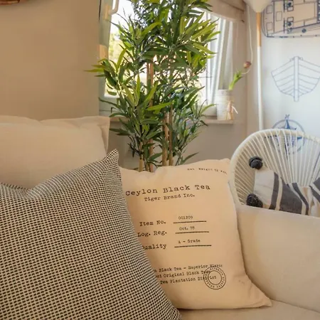 Nikky's Blue Dream *